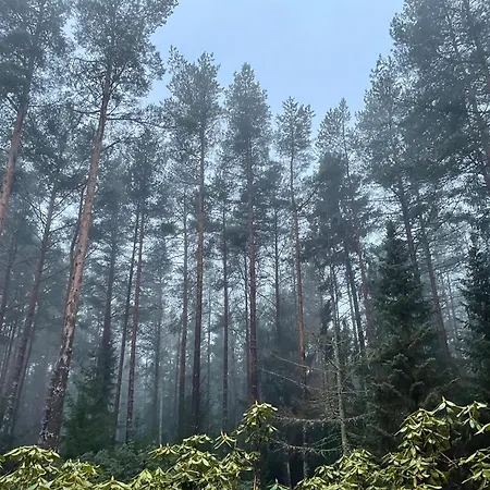 Kakumaee Raba - Puhkemaja Basseiniga Tallinnas *